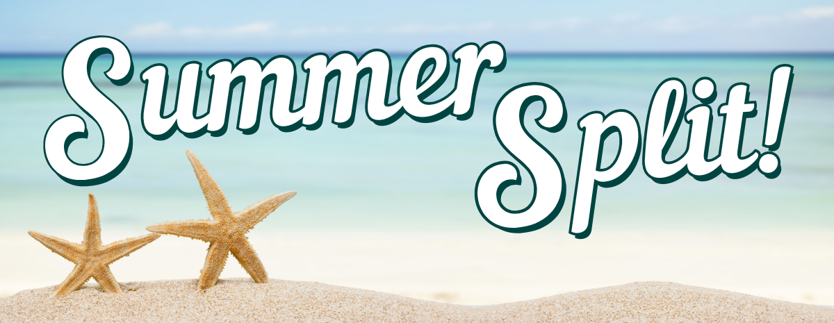 LVIM's Summer Split 2025